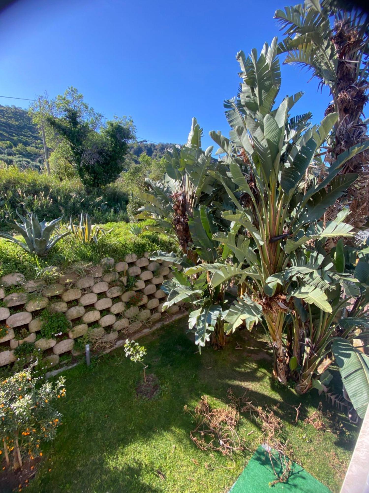 Residenza Roma Bed & Breakfast Tropea Luaran gambar