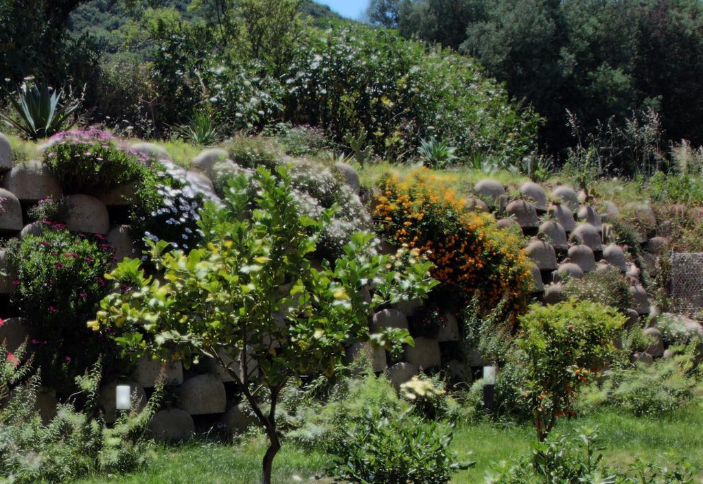 Residenza Roma Bed & Breakfast Tropea Luaran gambar